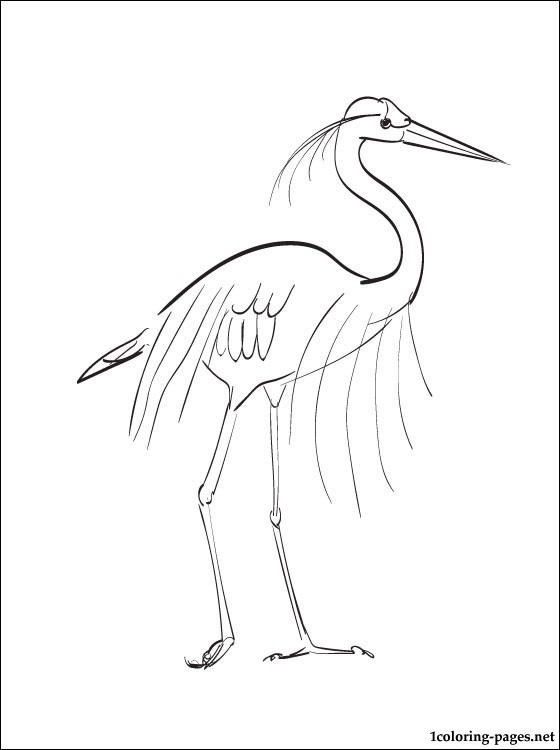 560x750 Coloring Page Great Blue Heron Coloring Pages
