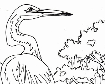 340x270 Great Blue Heron Coloring Page