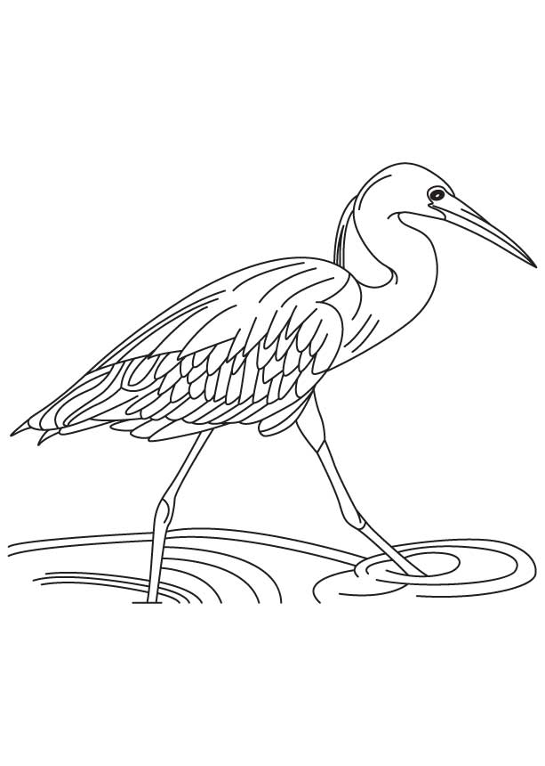 613x860 Heron Coloring Page Printable Coloring Pages