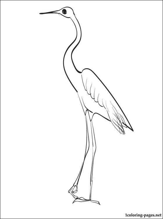 560x750 Heron Printable And Coloring Page Coloring Pages