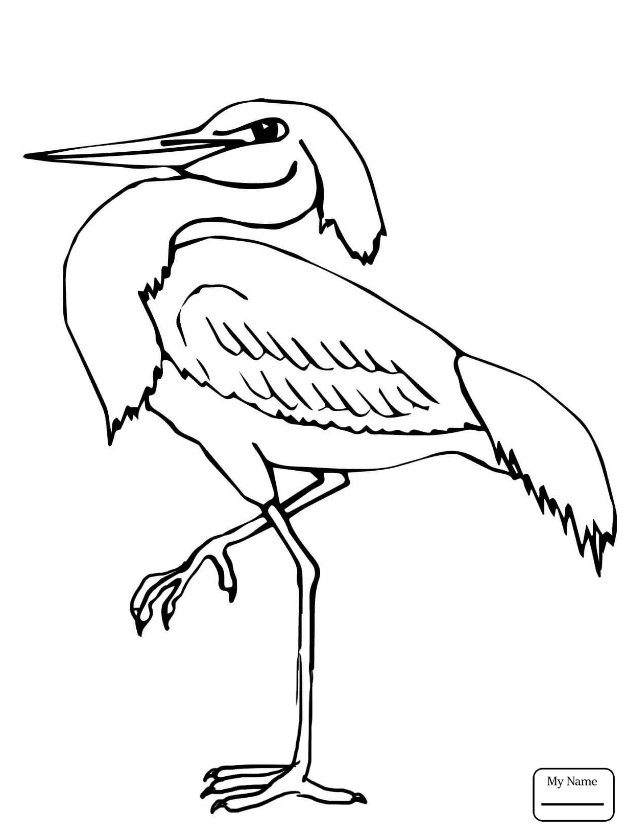1224x1632 Hurry Blue Heron Coloring Page Free Printable Pages