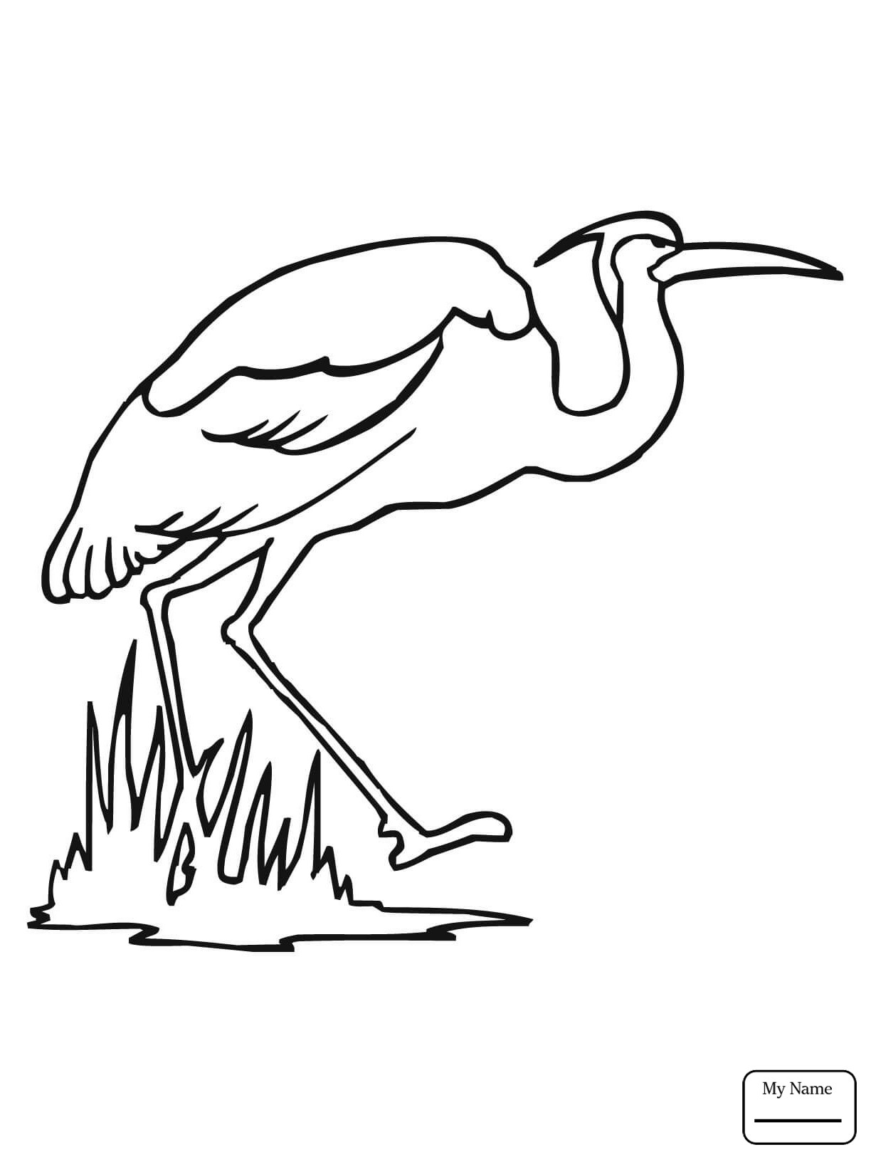 1224x1632 Tested Blue Heron Coloring Page Animal Pages B