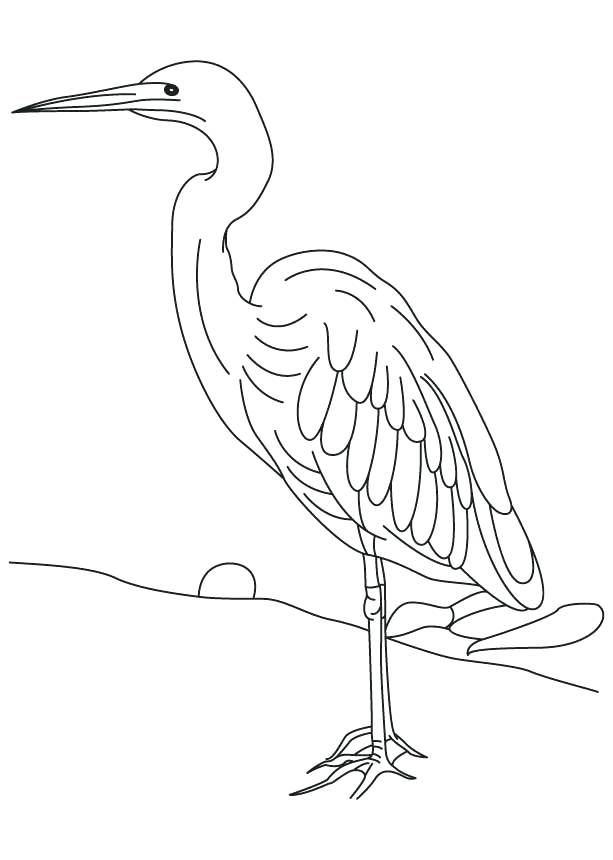613x860 Heron Animal Coloring Pages Coloring Ideas Pro