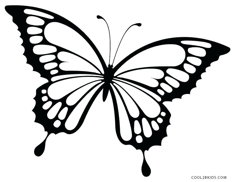 800x620 Drawing Of A Butterfly For Coloring Monarch Butterfly Coloring