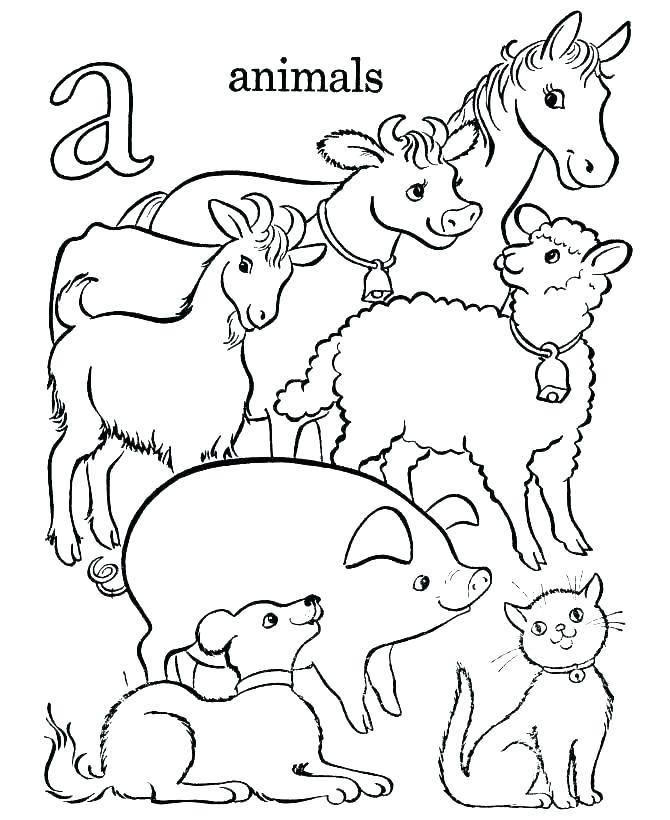 670x820 Printable Coloring Pages Of Animals