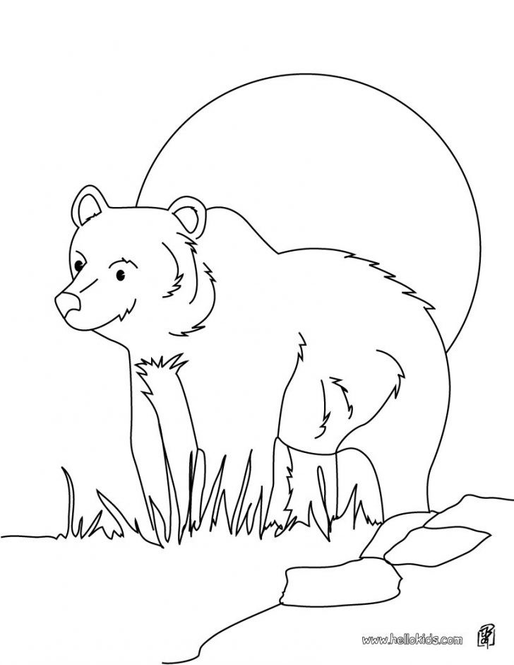 728x941 Awesome Grizzly Bear Coloring Page Hibernating Bear Coloring Page