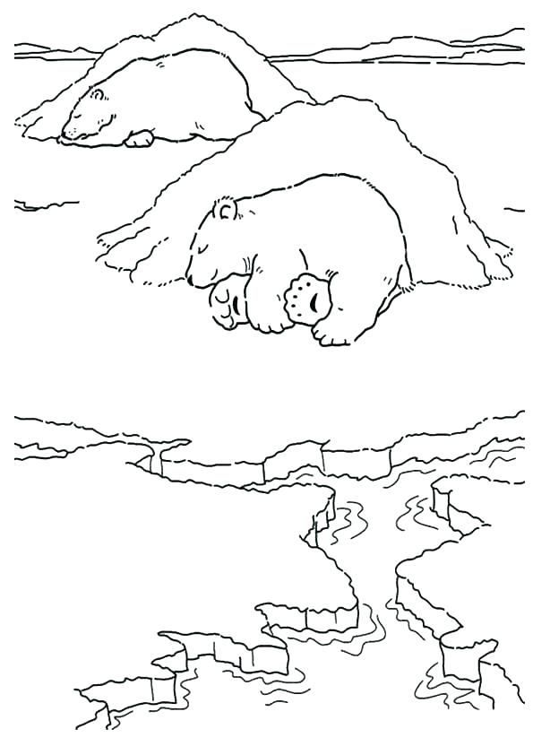 595x842 Printable Smokey The Bear Coloring Pages Kids Coloring Hibernating