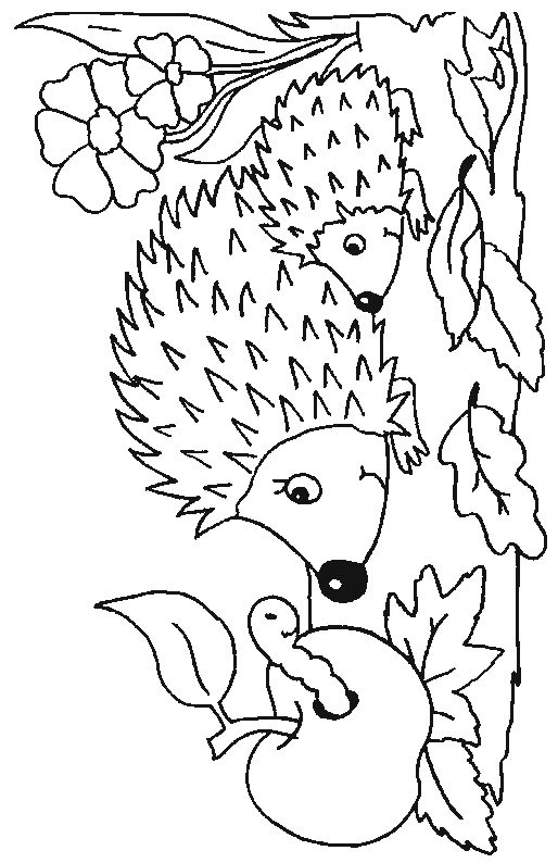 514x794 Hibernation Coloring Pages