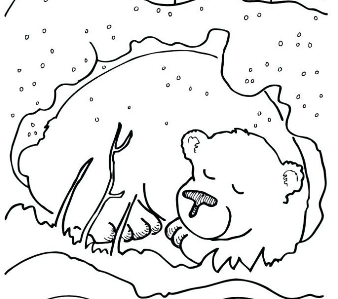678x600 Hibernation Coloring Pages Hibernating Animals Coloring Pages