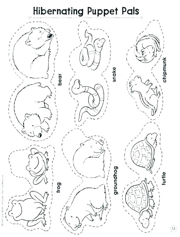 618x813 Hibernation Coloring Pages Hibernating Bear Coloring Page Animals