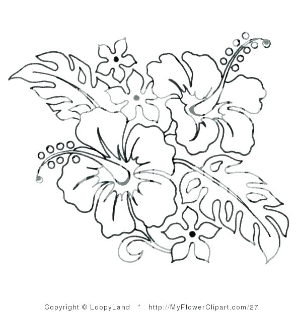 600x620 Hibiscus Coloring Page Hibiscus Coloring Pages Hibiscus Flower