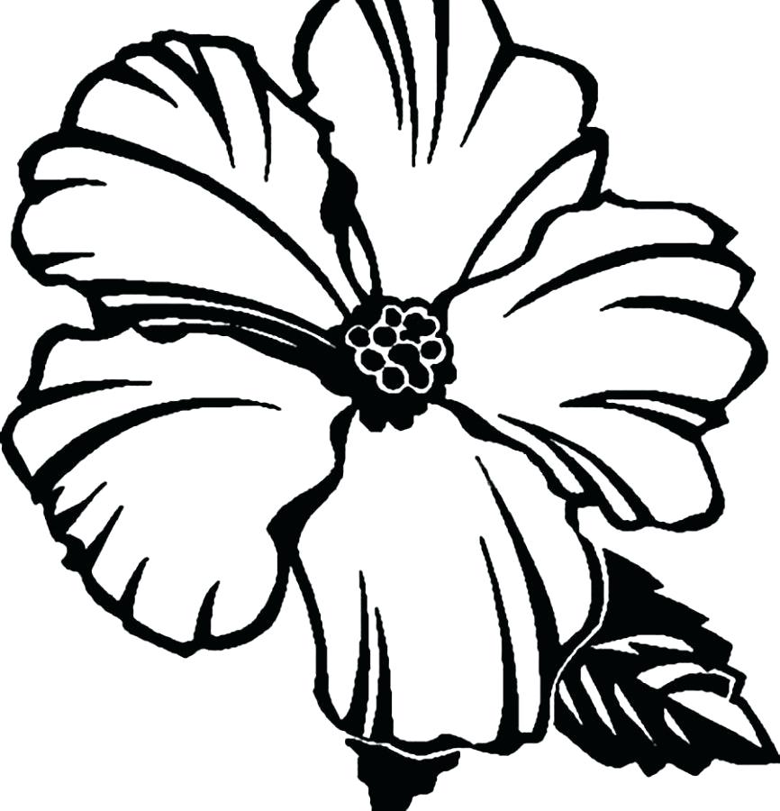 866x900 Hibiscus Flower Coloring Page Realistic Flowers Pages For Kids