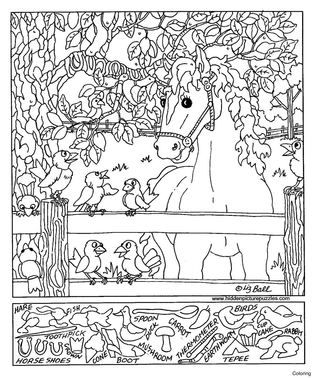 1073x1289 Coloring Pages For Adults With Hidden Objects