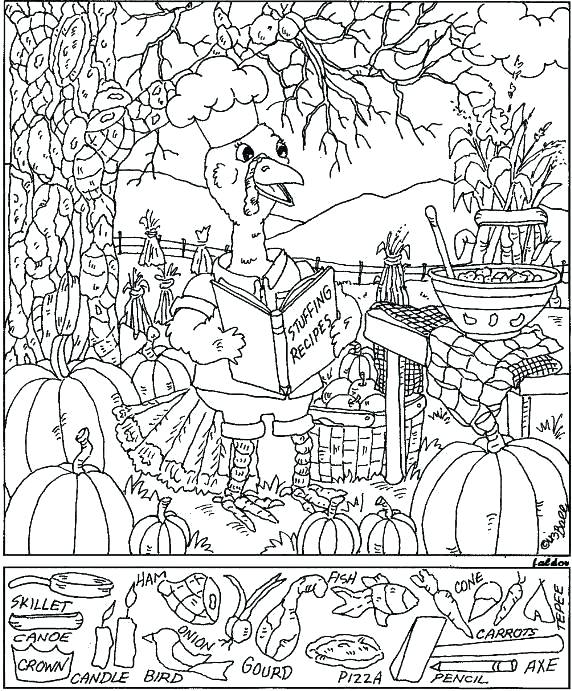 572x691 Lovely Hidden Picture Coloring Pages Images Resume Ideas Hidden