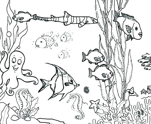 Hidden Pictures Coloring Pages at GetDrawings | Free download