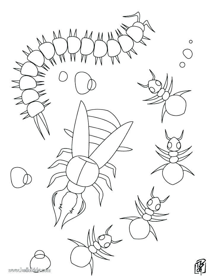 728x941 Can You Draw These Coloring Page Ant Coloring Fun To Draw Coloring
