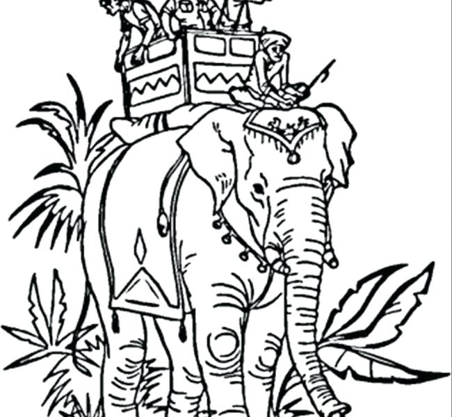 650x600 Indian Colouring Pages Indian Elephant Coloring Page Free India