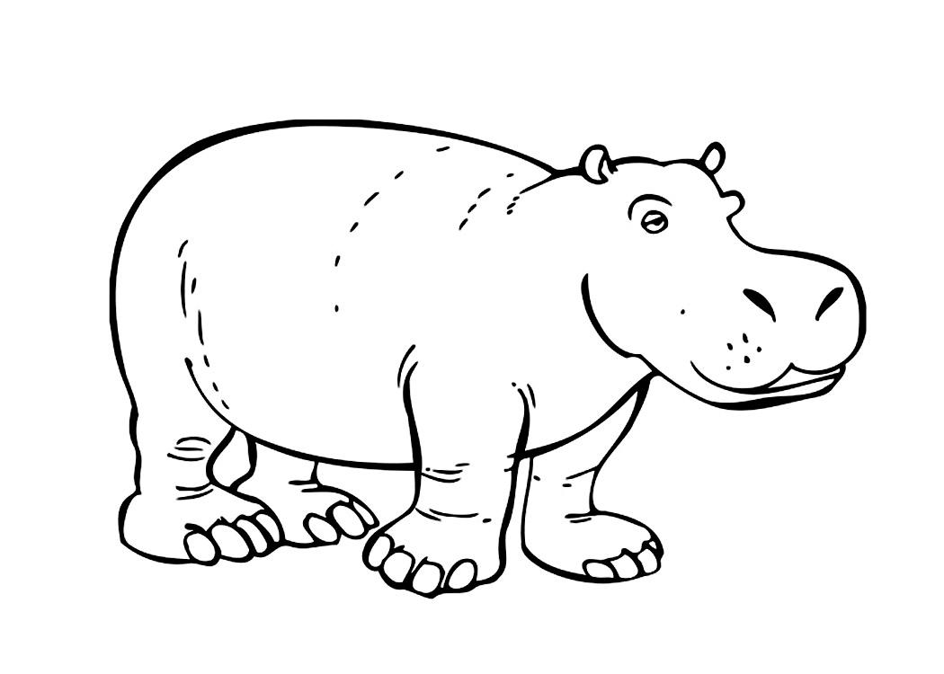 1050x750 Hippo Coloring Page