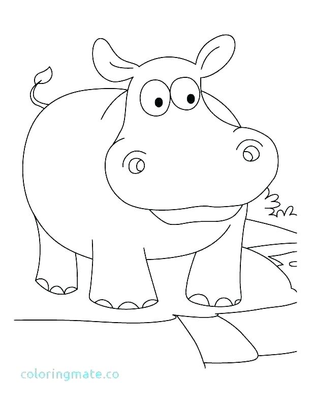 612x792 Hippo Coloring Pages Hippopotamus Coloring Page Hippo Coloring