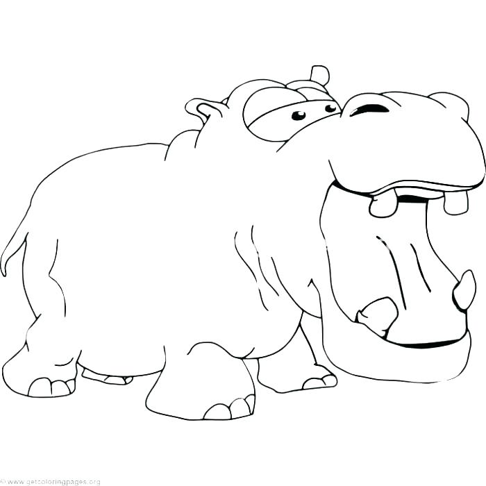 700x700 Hippopotamus Coloring Pages Cute Hippo Coloring Pages Cute Baby