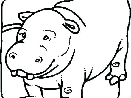 440x330 Hippopotamus Coloring Pages Hippo Colouring Book Kids Coloring