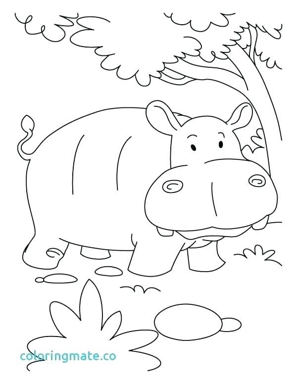600x776 Coloring Page Hippo Hippo Coloring Pages Printable Hippogriff
