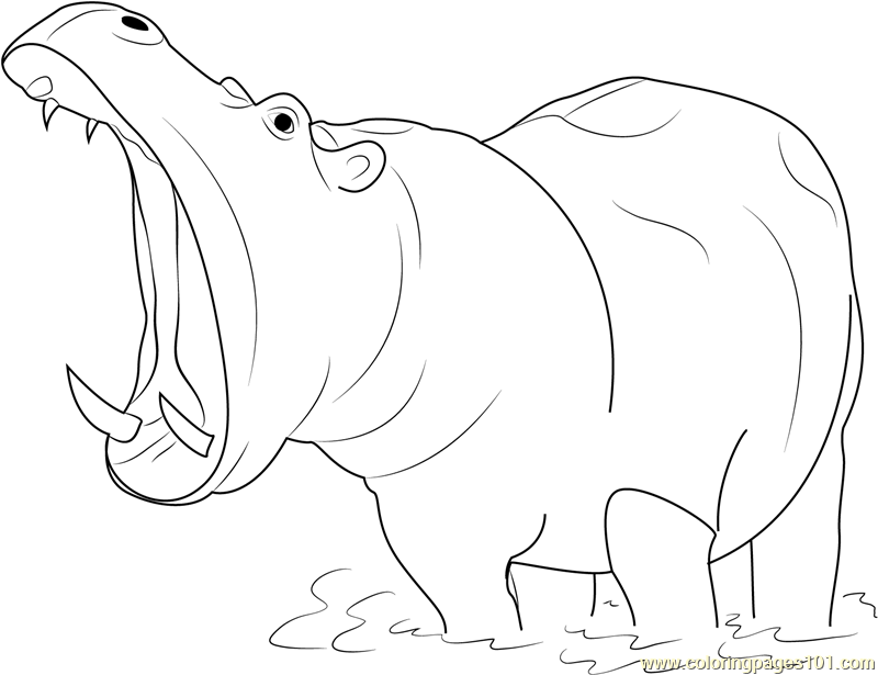 800x615 Hippopotamus Open Mouth Coloring Page