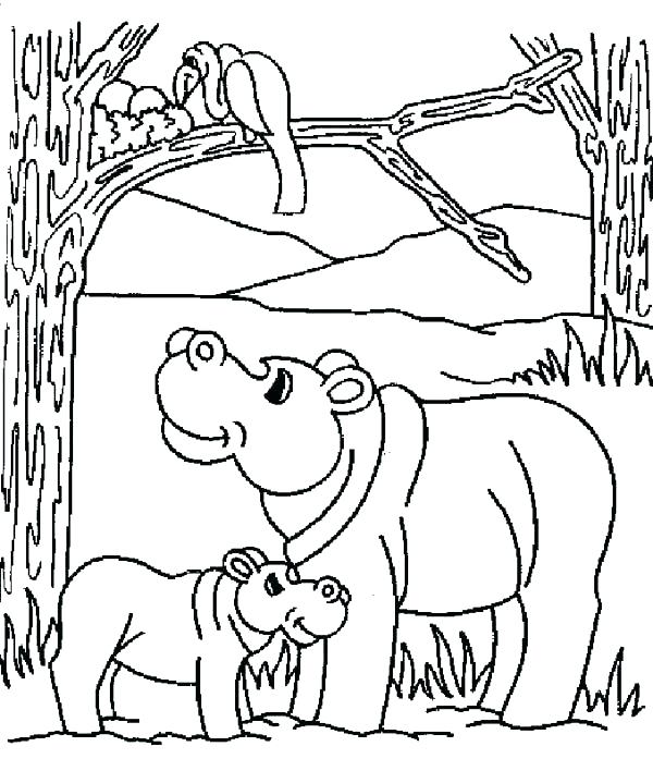 600x708 Baby Hippo Coloring Pages