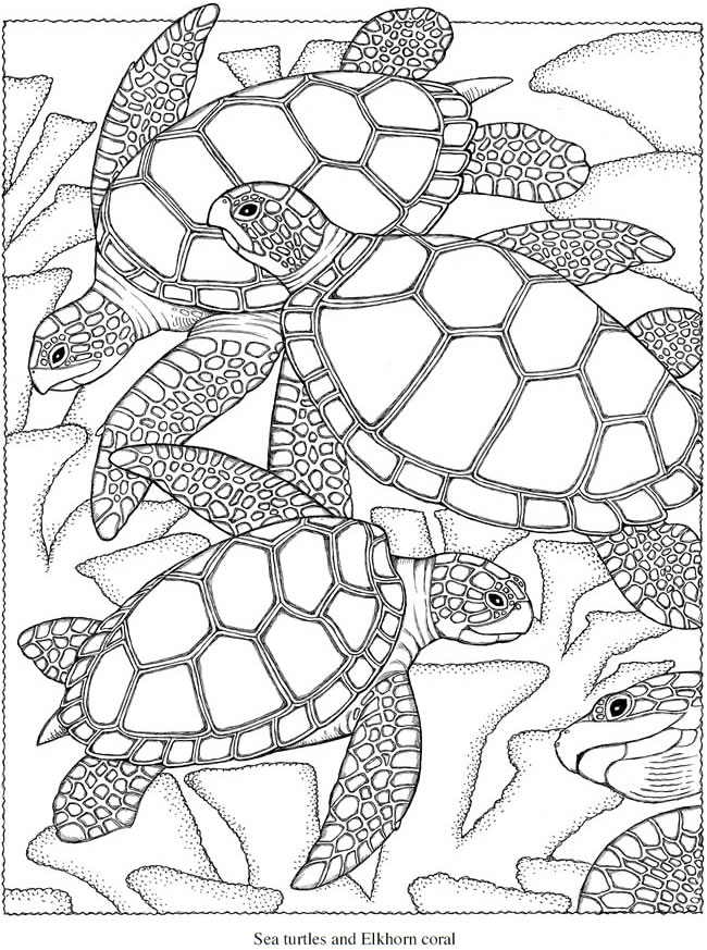 650x873 Coloring Pages Printable Tremendous A New Direction In Creative