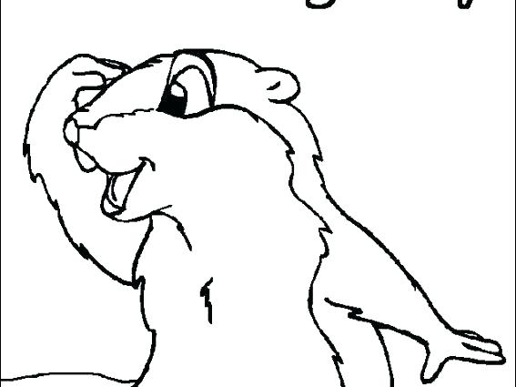 567x425 Ground Hog Coloring Pages Groundhog Coloring Page X Next Image