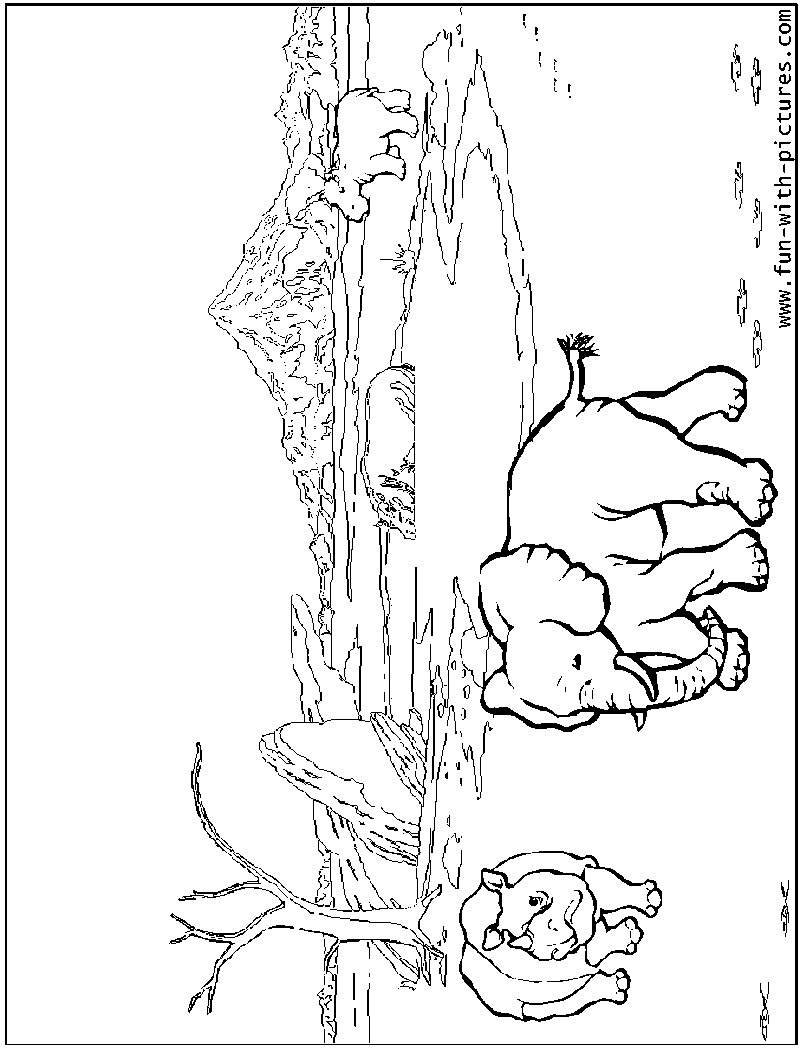 800x1050 Safari Waterhole Coloring Page African Watering Holes