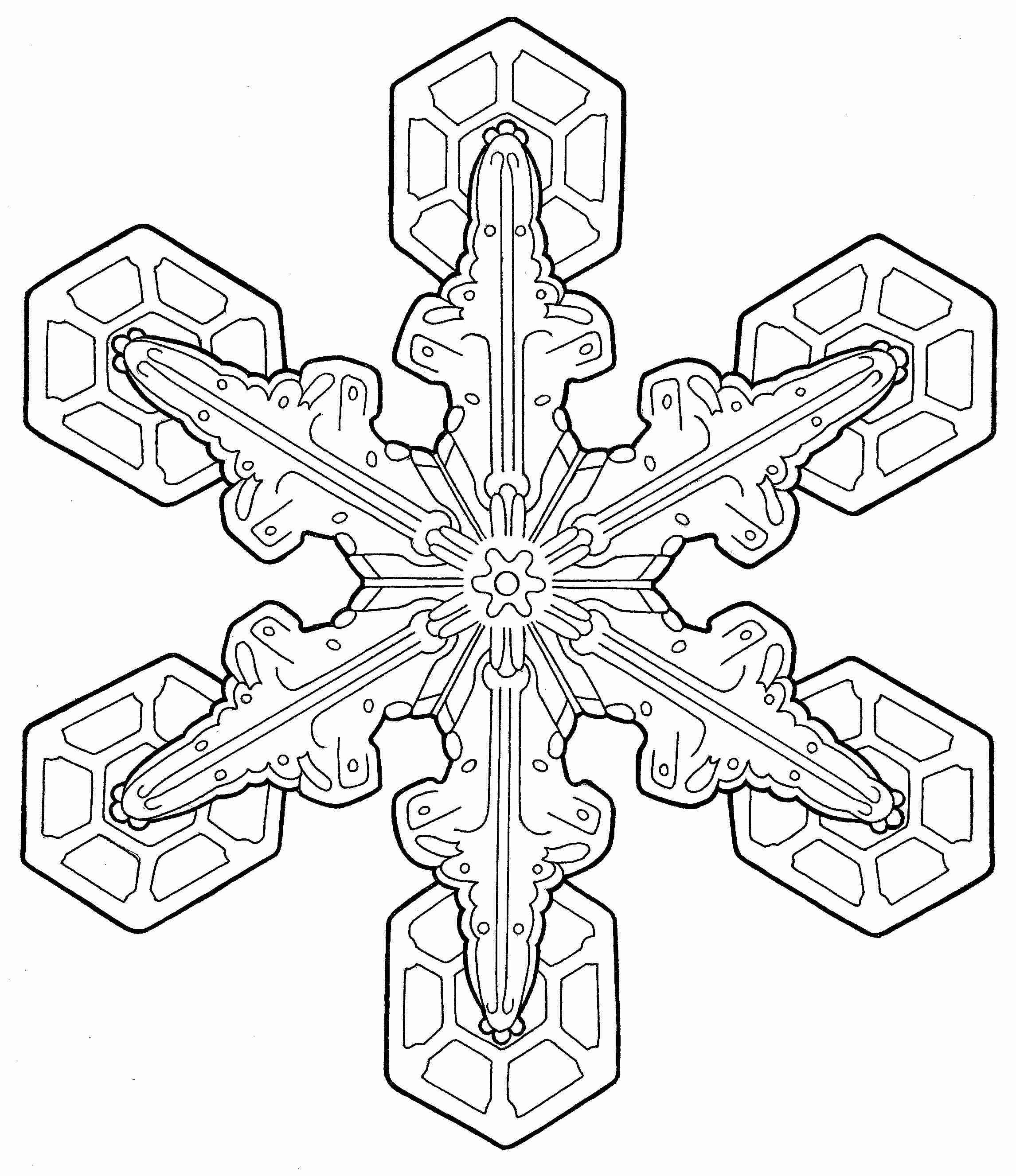 2292x2654 Free Printable Mandala Coloring Pages Large Transparent Png Fancy