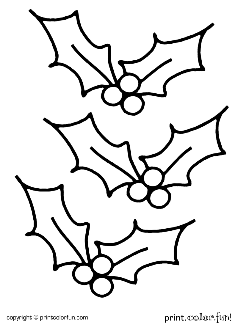 800x1100 Christmas Holly Coloring Pages