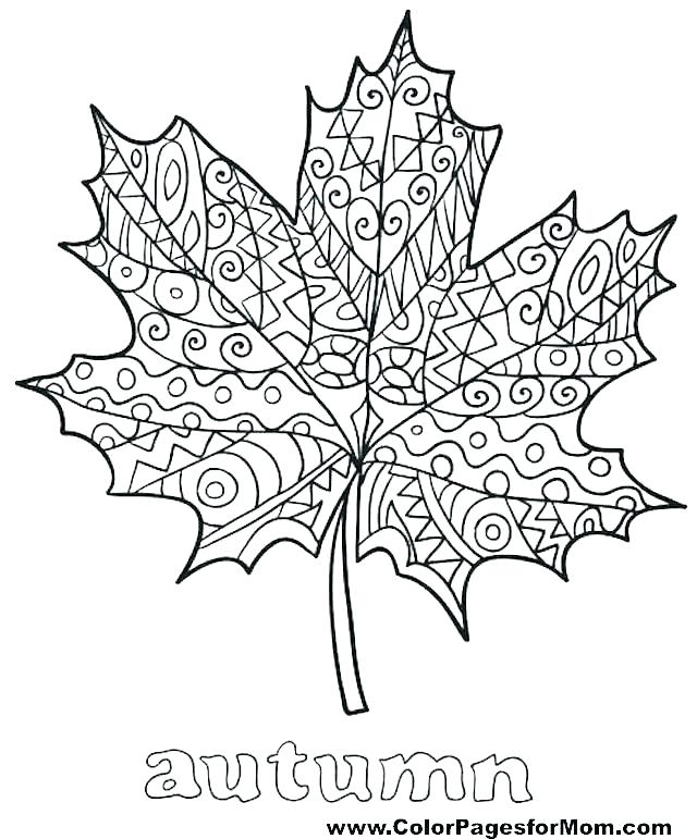 640x771 Holly Leaves Coloring Pages Leaves Coloring Pages Good Jungle