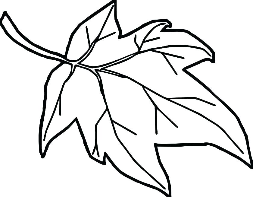 840x653 Holly Leaves Coloring Pages Leaves Coloring Pages Leaf Coloring