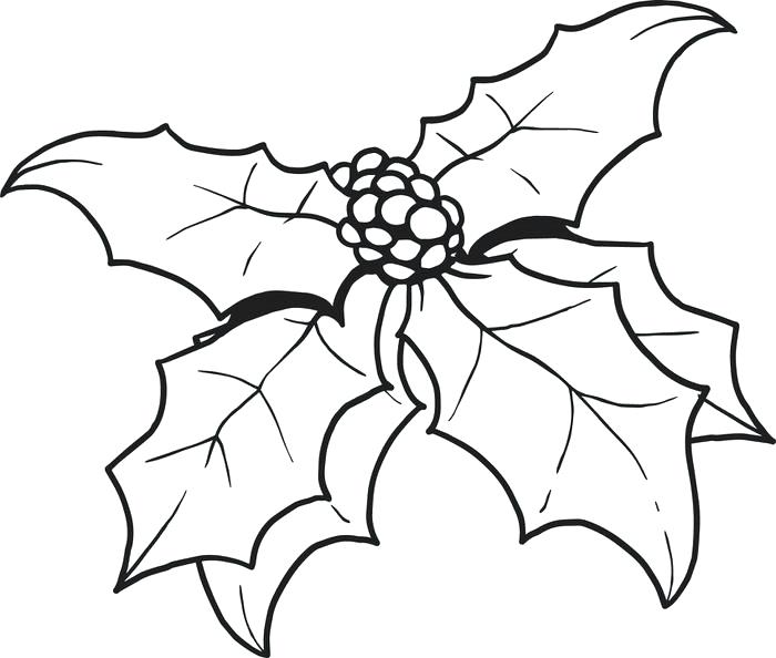 700x594 Holly Coloring Pages Free Printable Holly Coloring Page For Kids