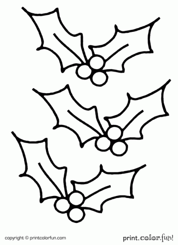 363x500 Holly For Christmas Coloring Page