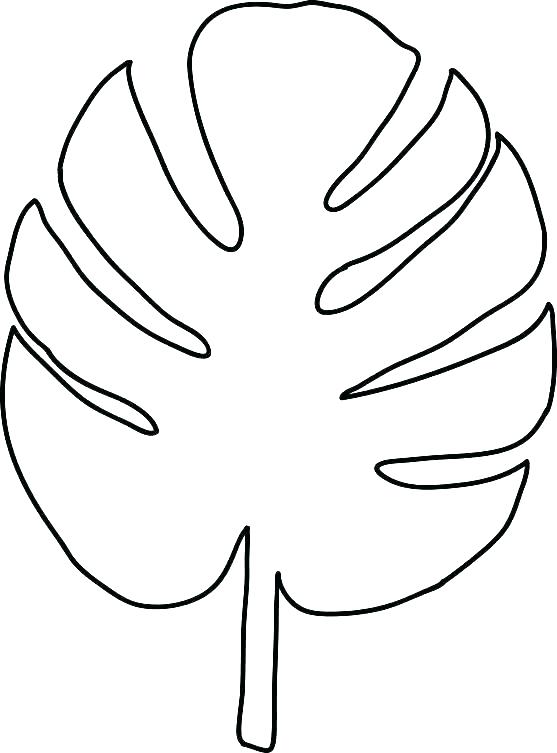 557x753 Leaf Coloring Pages Leaf Outline Printable Template Holly Stencils