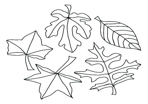 476x333 Coloring Pages Leaves Printable Leaves Coloring Pages Leaf