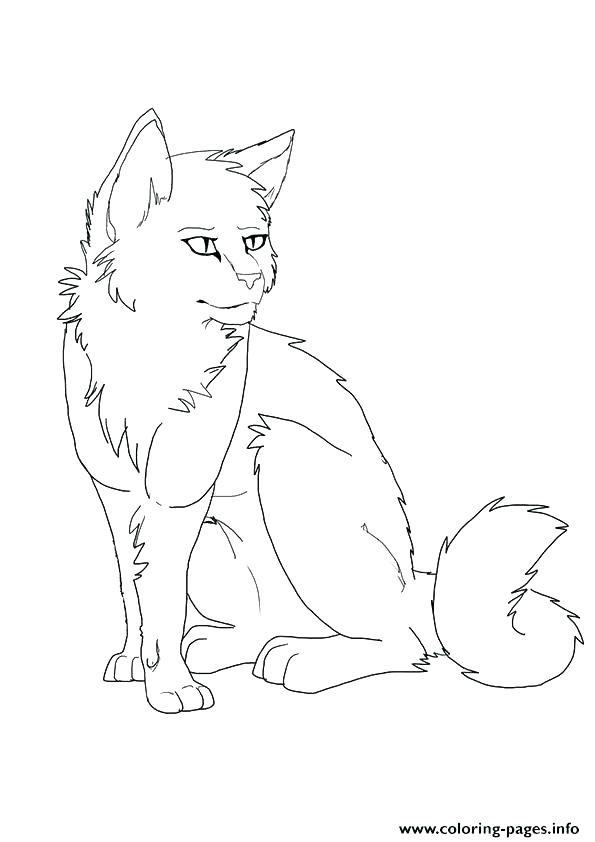 595x842 Tabby Cat Coloring Pages