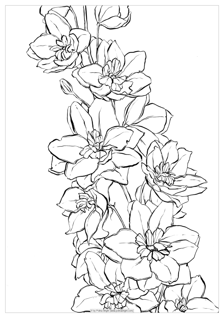 724x1024 Set Of Watercolor Coloring Pages Polina Bright Art