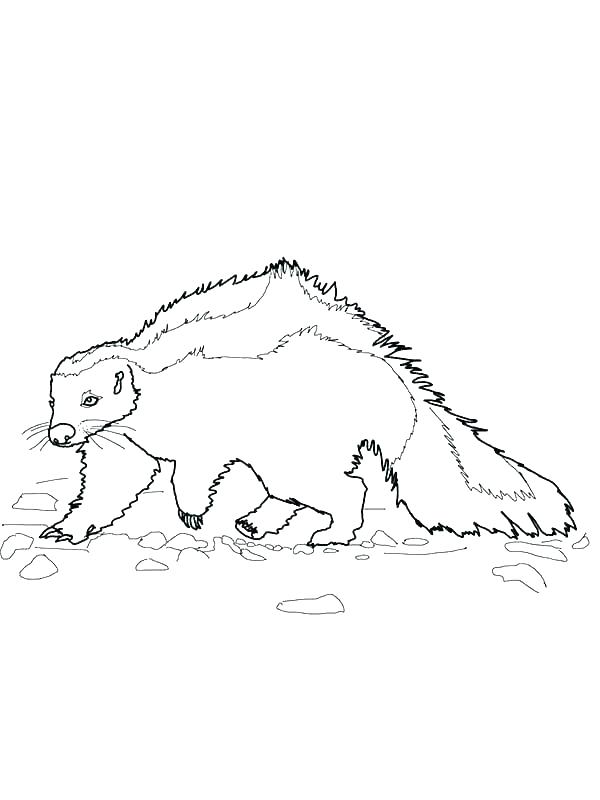 600x800 Honesty Coloring Pages Honesty Coloring Pages Coping Skills