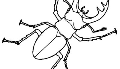 400x230 Best Of Badger Coloring Page Collection Printable Coloring Sheet