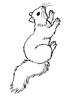 236x333 Honey Badger Coloring Page Coloring Pages Honey Badger