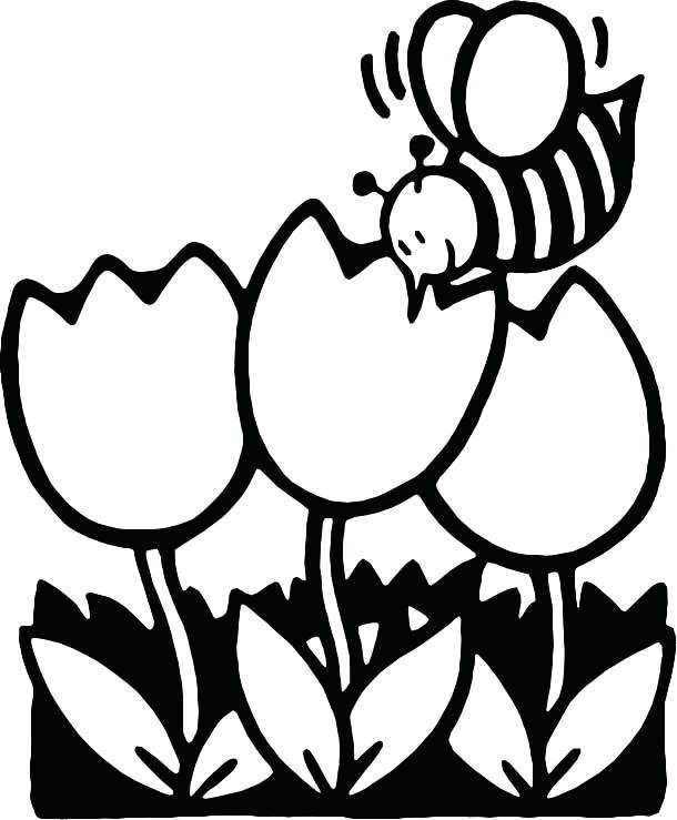 610x739 Honey Bee Coloring Page Bee Coloring Pages Printable Bee Coloring