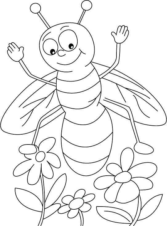 542x732 Honey Bee Coloring Pages In Addition To Cartoon Bee And Flower
