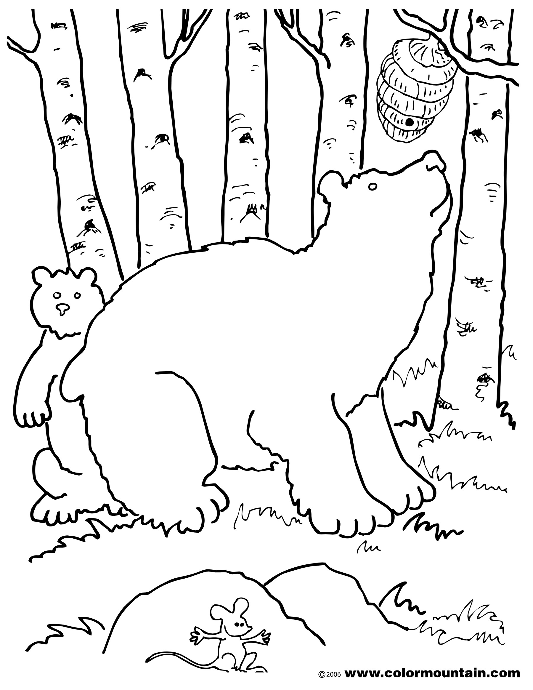 1800x2329 Honey Bear Coloring Page