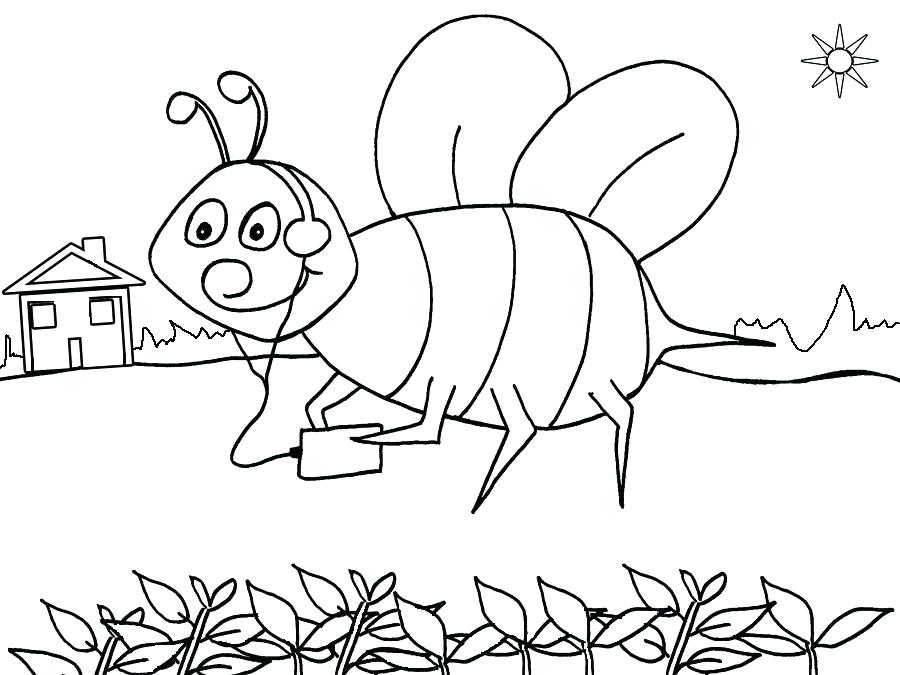 900x675 Bees Coloring Pages Bumble Bee Page Pictures Beehive Print Mine