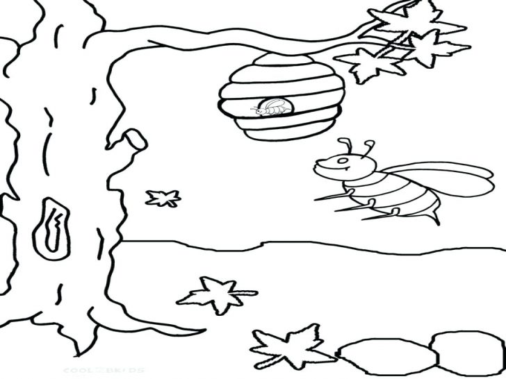 728x546 Coloring Pages Christmas Tree Beehive Page Fun Activities Box