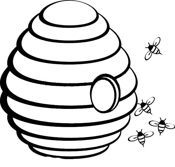 600x572 Honeycomb Coloring Page Funky Beehive Coloring Page Sketch